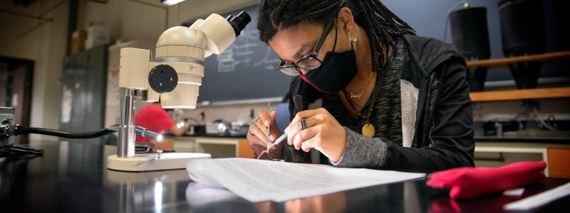 a student works in a Comstock lab