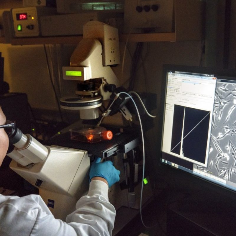 A researcher in the Whittaker lab examines samples
