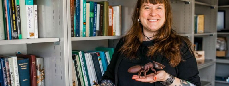 Corrie Moreau, director of the Cornell University Insect Collection. Photo by Allison Usavage/Cornell University